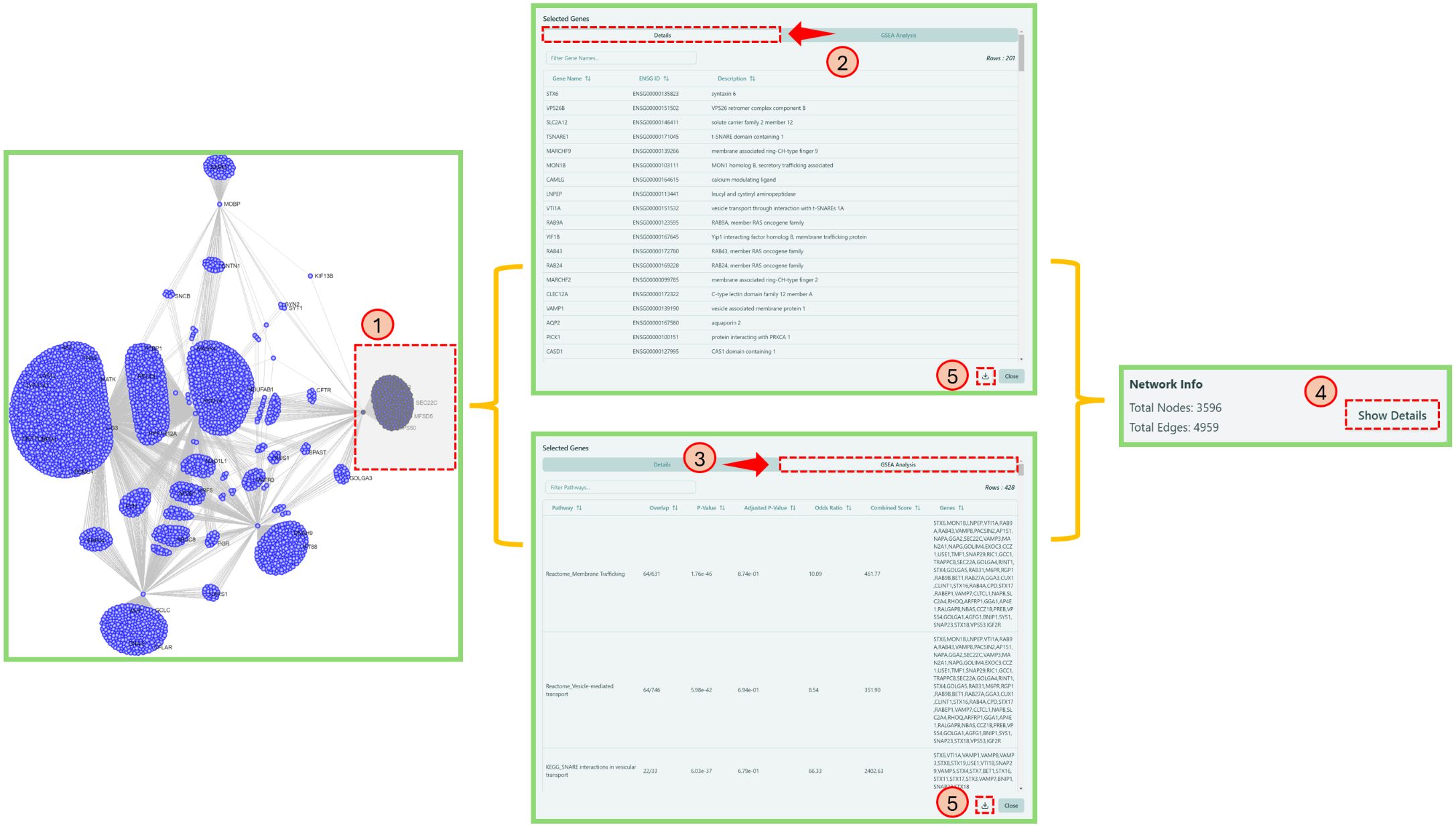 Node Details and GSEA